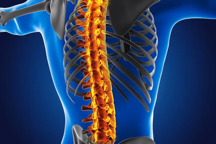Spinal Stenozda Fizyoterapi Yöntemleri Ve Etkinliği