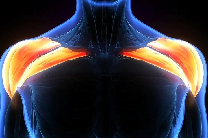 Brachial Plexus Yaralanmaları Müzisyenlerde Nasıl Ortaya Çıkar? Sahne Işıklarını Karartan Gizli Tehlike